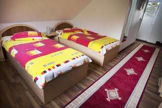 Гостевой дом Motorom Зэрнешти Двухместный номер с 1 кроватью или 2 отдельными кроватями-4