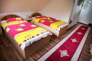 Гостевой дом Motorom Зэрнешти Двухместный номер с 1 кроватью или 2 отдельными кроватями-8